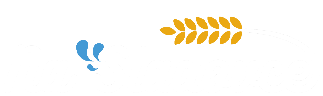 Koupaliště Na Sladovce